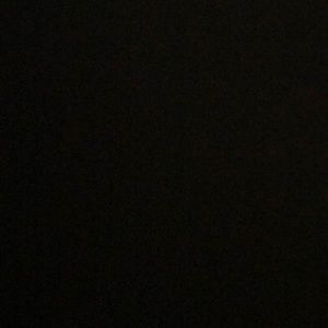 Meet your Posher, Mia